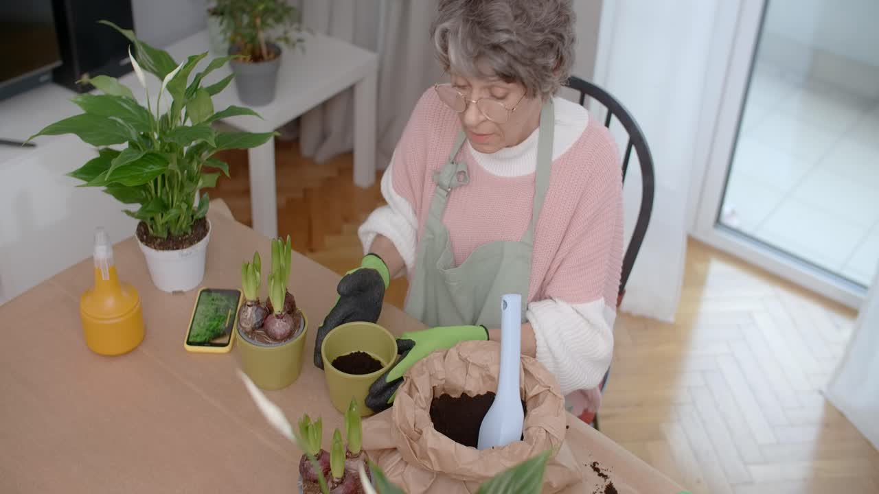 Elderly Woman Potting Hyacinths