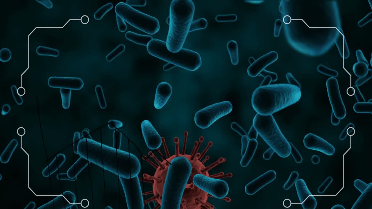 animación del procesamiento de datos sobre las células del virus