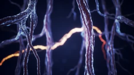 exploring the intricate structures of neural connections: a close-up view revealing the dynamic glow of nerve fibers and their electrical activity in the nervous system