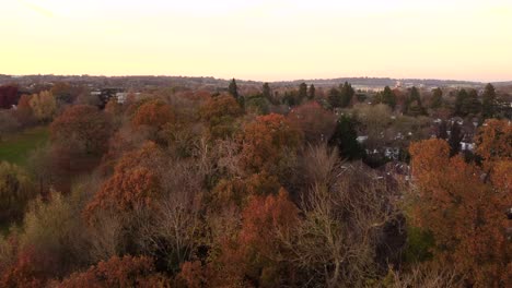 aerial shot over a british town in autumn with orange leaves on trees