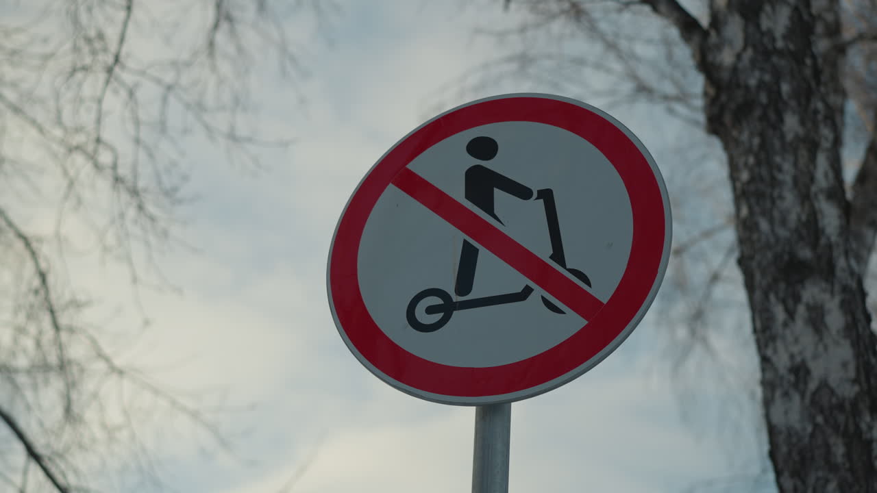 Close up of circular traffic sign showing scooter prohibited symbol in red with overcast bright sky and dry winter tree branches in background