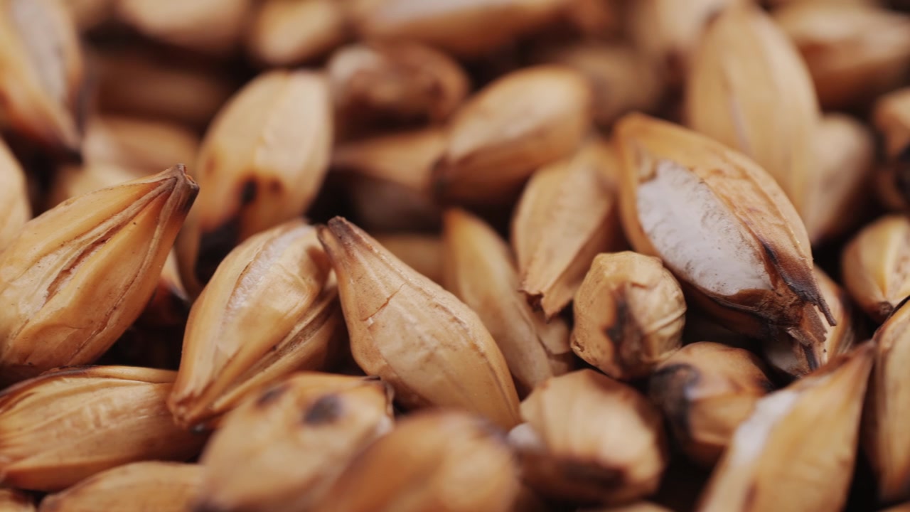Close-up Macro Shot of Golden Barley Grains