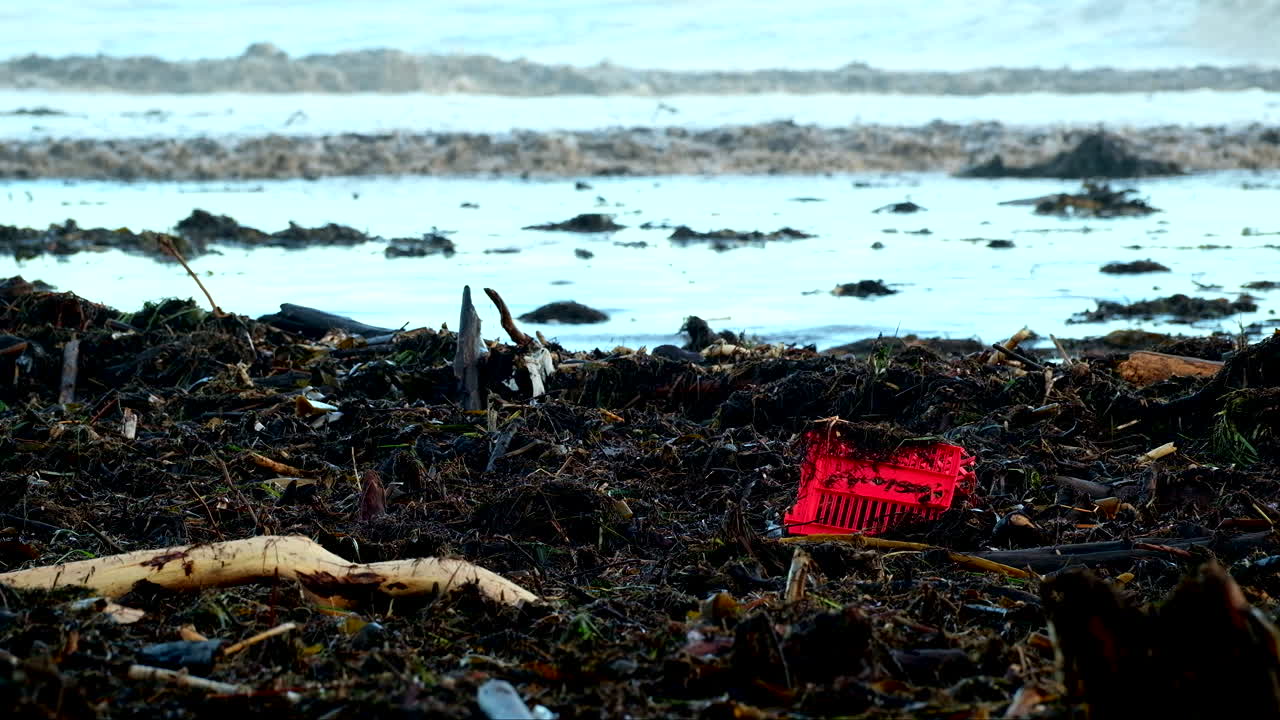 밝은 빨간색 상자 는 해변 에 있는 떠다니는 나무 와 식물성 물질 의 잔해 중 에서 보인다