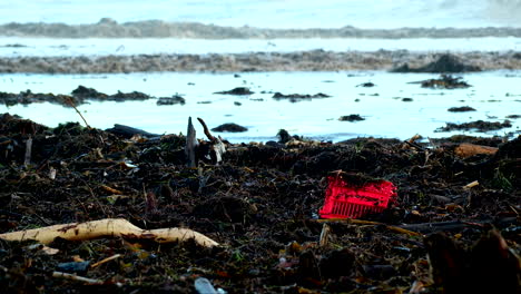 bright red crate stands out among driftwood and plant matter debris on beach