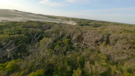 Renn-Freestyle-Drohne-Fliegt-über-Waldbäume,-Soustons-Im-Département-Landes,-Nouvelle-Aquitaine-In-Frankreich