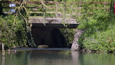 water flowing underneath the bridge exiting the lake ponds of creswell crags, worksop