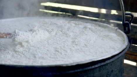 elaboración de queso: la leche sigue espesándose y convirtiéndose en queso