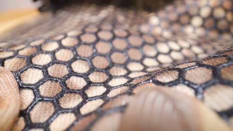 a fabric with the looks of the snake skin