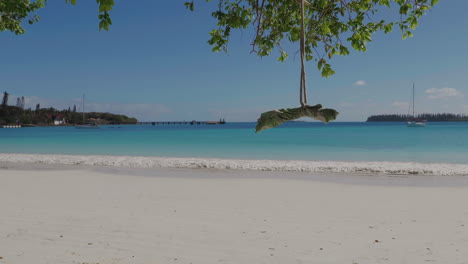 swing made of rope and driftwood blows gently on isle of pines beach