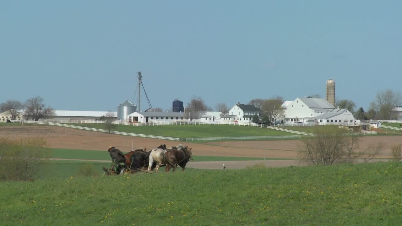 아미쉬 농부는 말을 사용하여 밭을 갈고 있다 3