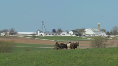 Ein-Amischer-Bauer-Pflügt-Seine-Felder-Mit-Pferden-3