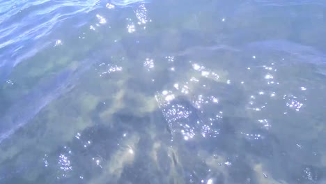 amazing water background at storm. waves swaying on the sea water. beautiful blue water of the ocean with waves.blue crystal clear water. one can see the sandy seabed.sea wave low angle view.