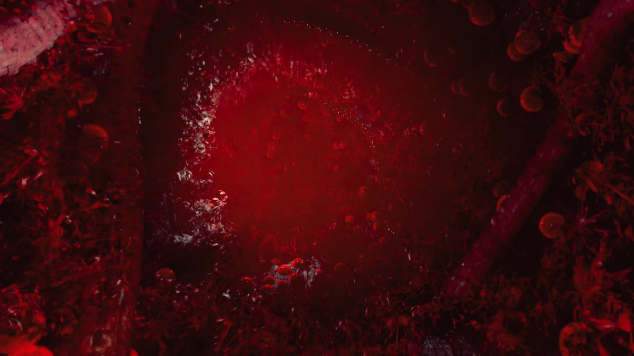 Red underwater landscape filled with organic shapes and textures