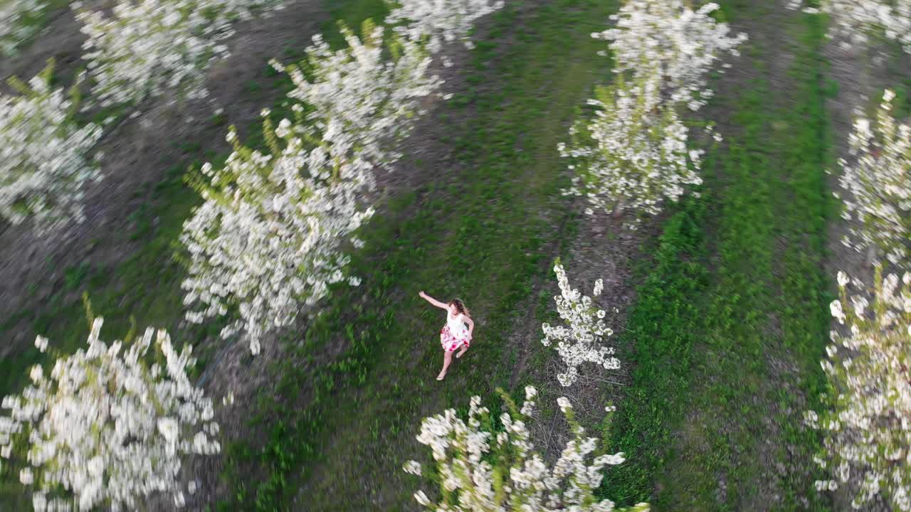 Aerial shot of young lady running in the field of cherry blossom