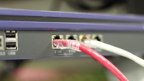 los cables de red para conectar el puerto de un interruptor para conectar la red de internet