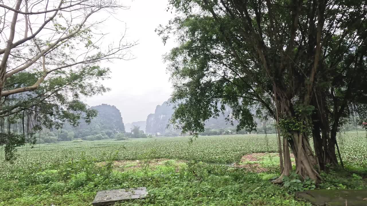 지나가는 차량과 함께 시골 풍경의 타임 라프스