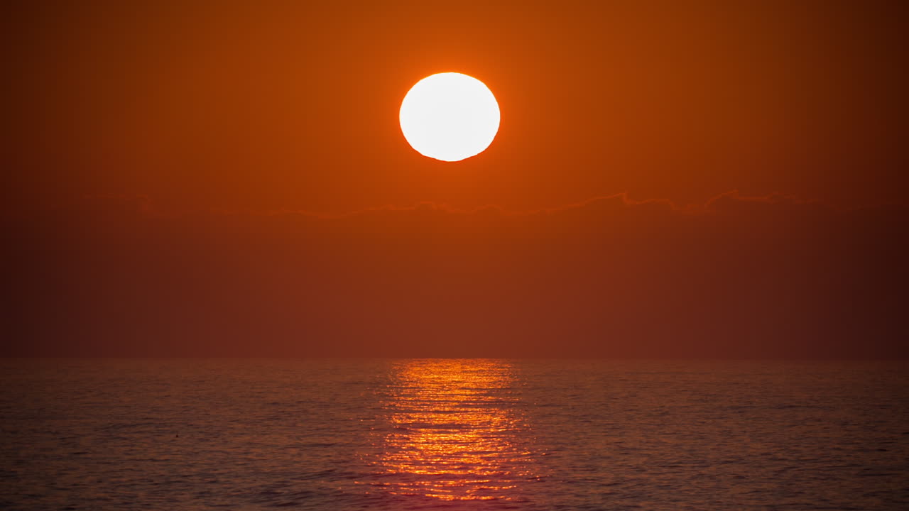 티프니트 선셋 00