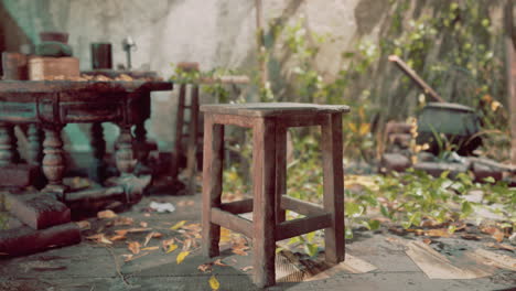 overgrown abandoned room with wooden stool