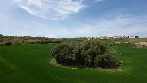 dorne fpv flying over a tree at very low altitude.it passes very close. then it banks to the right, performs a turn, and the entire landscape of intense green color comes into view.slow-motion footage