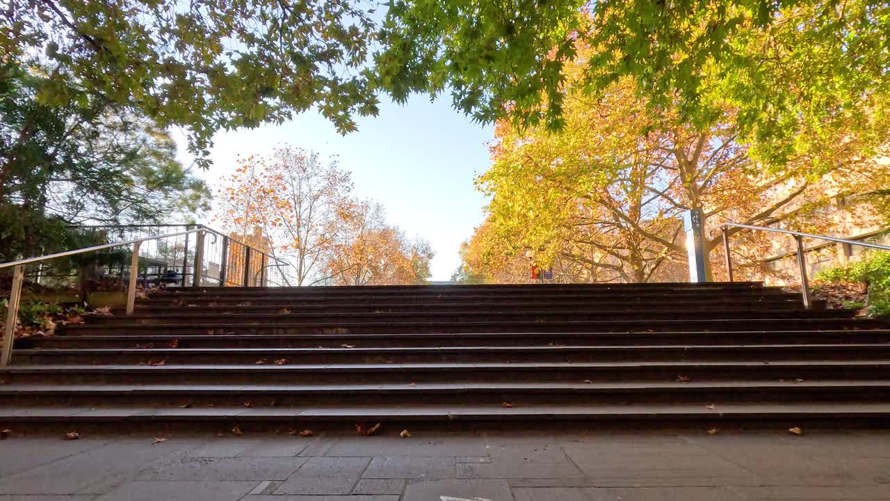 gente disfrutando de un día soleado en el campus
