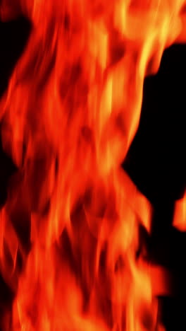 beautiful fire flame going up. burning flame isolated on the black backdrop. vertical video