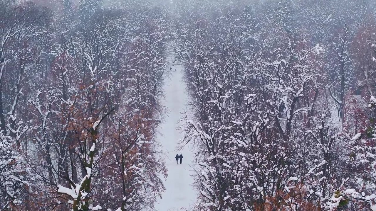 Vista aerea di una coppia che cammina su un sentiero innevato attraverso una splendida foresta invernale