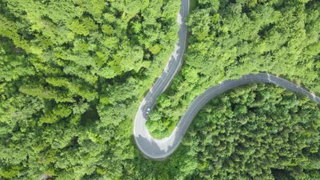 Coche-Eléctrico-Deslizándose-A-Través-De-Un-Exuberante-Bosque-Verde-En-Un-Camino-Sinuoso