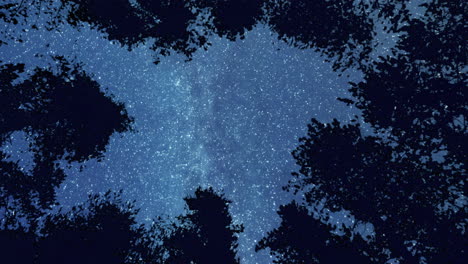 Cielo-Nocturno-Tranquilo-En-El-Bosque,-Timelapse-Zoom-Out