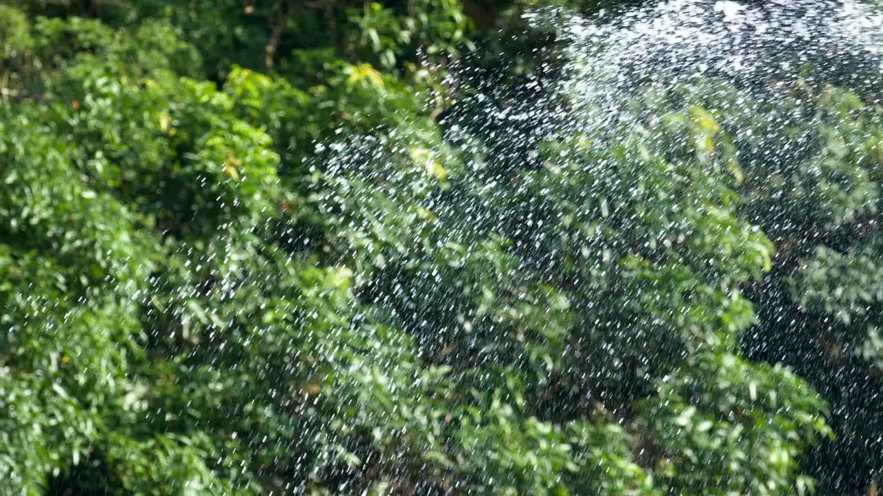 water drop fall/ water spray