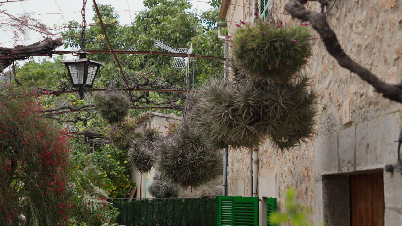 초록색 셔터와 울창한 식물이 있는 시골의 지중해 골목
