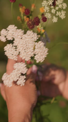 primer plano de un jardinero con camisa rosa arreglando cuidadosamente las flores silvestres a mano en un campo cubierto de hierba, capturando detalles delicados de pétalos y tallos verdes contra un fondo natural borroso en un día soleado