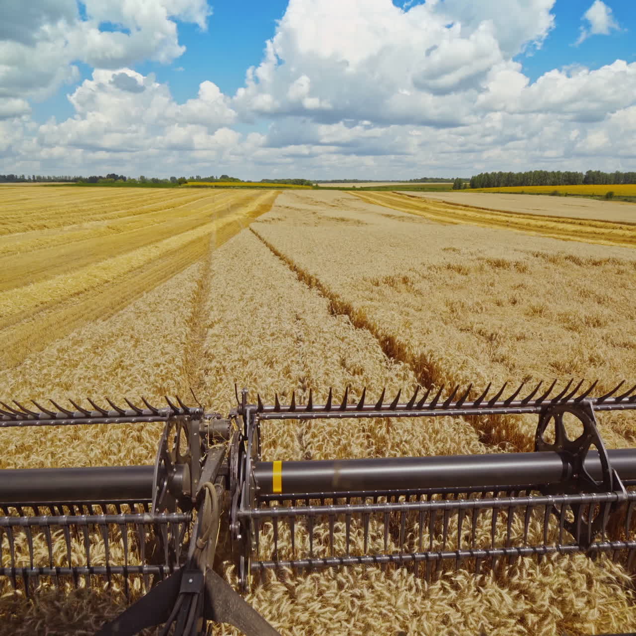 Details of a modern combine harvester. Close-up. Agricultural machine works in the wheat field. Harvesting crop. The concept of agronomy.