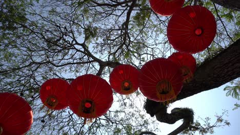 Chinesische-Laterne,-Die-Am-Baum-Hängt,-Mit-Sonne-Im-Hintergrund