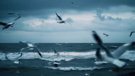 a serene coastal scene with flocking birds in flight amidst a dramatic overcast sky and glistening waves on the ocean beach, showcasing the beauty of nature's harmony