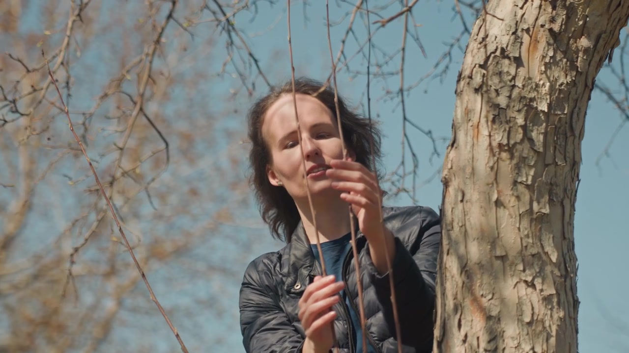 Primer plano de una mujer con ramas de árbol en un entorno exterior. La mujer toca y mueve ramitas delgadas mientras está de pie junto al tronco, vistiendo ropa casual. El fondo presenta un cielo azul claro.