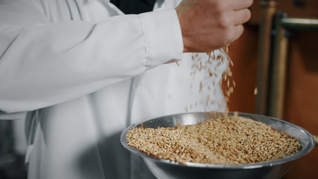 preparación de trigo para la elaboración de cerveza