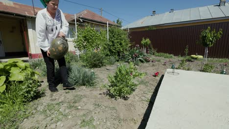 romanian woman watering plant in garden with traditional ceramic jug