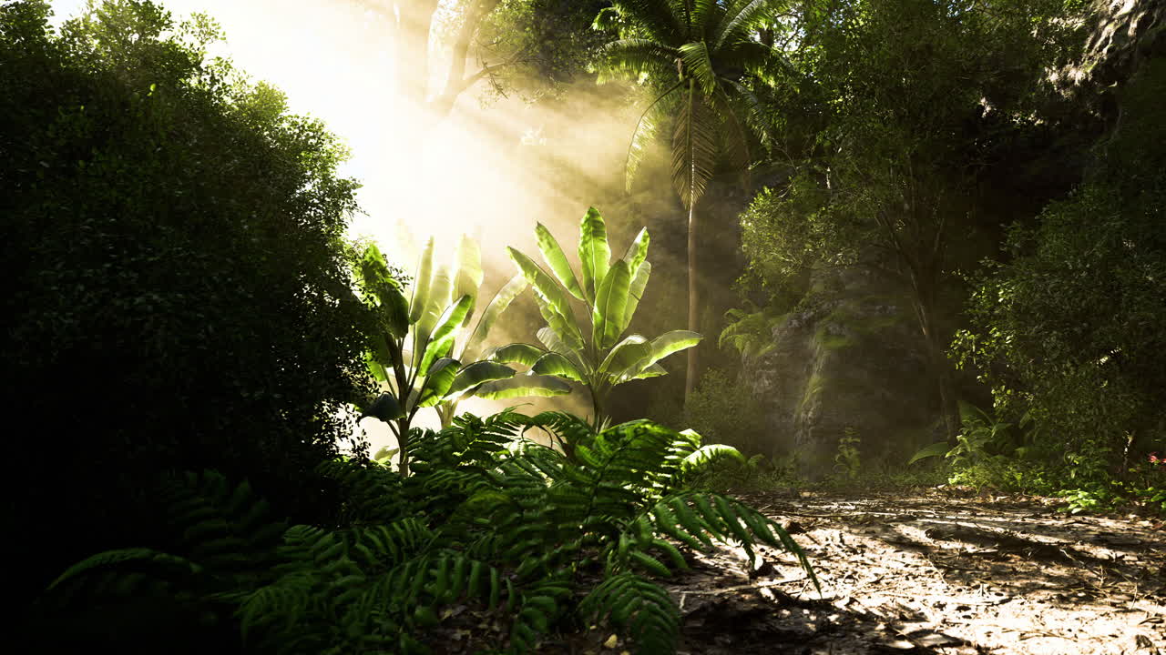 La luce filtra attraverso una vegetazione lussureggiante in una vibrante foresta tropicale