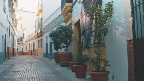 4K Marbella old town street with plants decoration, Andalusia