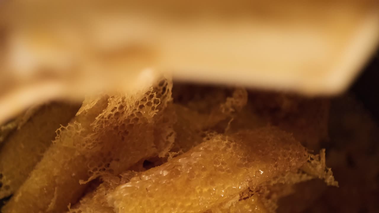 나무 프레임 벌집에서 폐기된 신선한 건강한 벌집