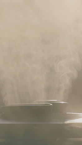 cu shot: modern air ionizer emits dense steam cloud to humidify atmosphere and to clean bacteria in room extreme closeup