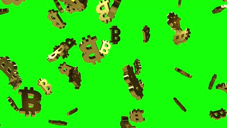 señales de bitcoin de oro cayendo en un fondo de pantalla verde sólido. animación de bucle 3d