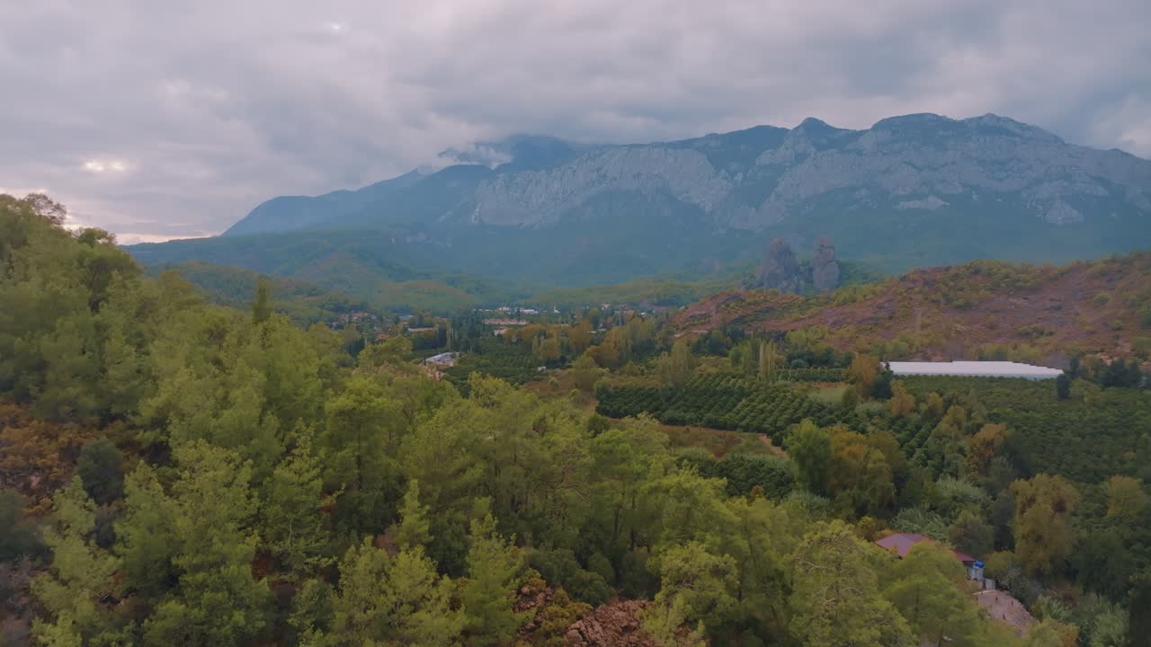 산악 계곡 풍경과 숲과 과수원