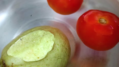 cerca de tomates y guayaba en el agua