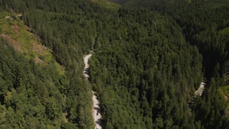 Aerial-dolly-in-tilt-up-of-a-group-of-jeeps-driving-on-a-road-between-a-dense-green-pine-forest,-revealing-mountains-in-background,-British-Columbia,-Canada