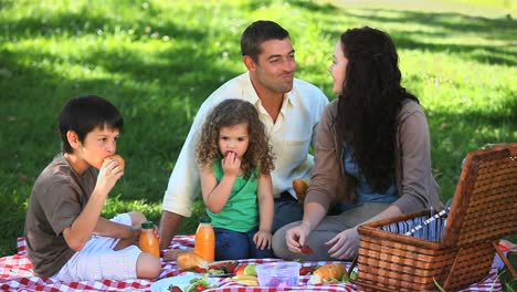 Glückliche-Familie,-Die-Bei-Einem-Picknick-Auf-Einer-Tischdecke-Schlemmt