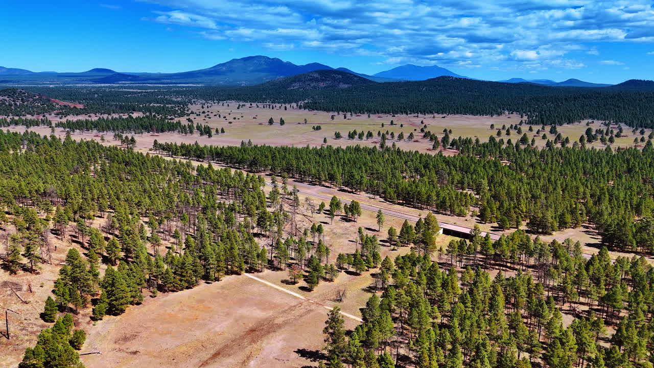 Scarce pine tree woods covering the valley at the mountain foot. Drone footage approaching the highway crossing the landscape of Arizona, USA