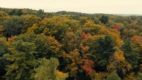 Drohnenflug-über-Herbstwald-In-Kanada