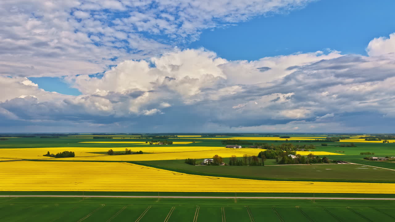 Golden canola fields under dramatic clouds in summer, aerial view of rural farmland