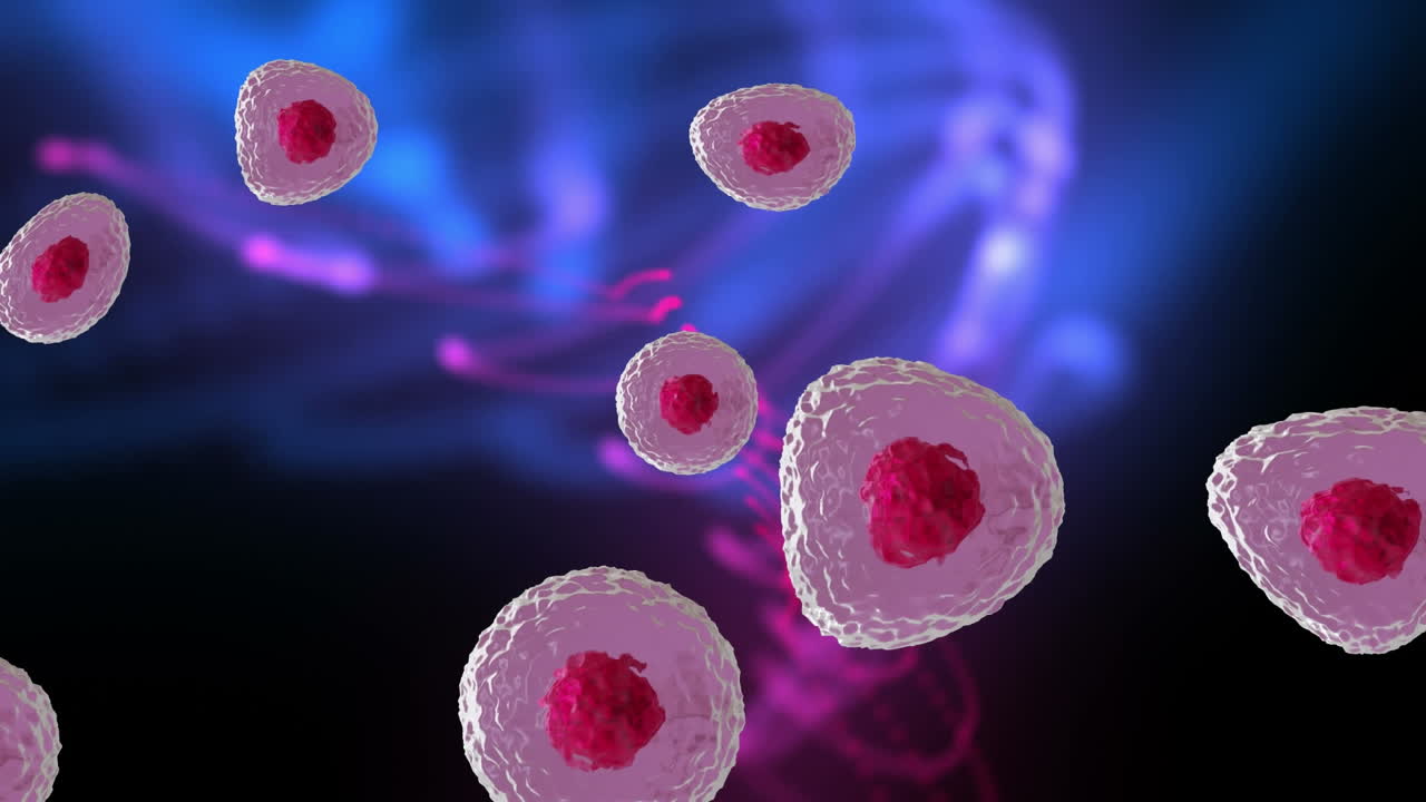 분홍색과 보라색 배경 위에 빨간색과 분홍색 세포의 마이크로의 애니메이션